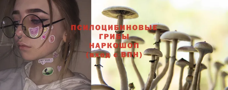 Псилоцибиновые грибы Psilocybine cubensis Агидель